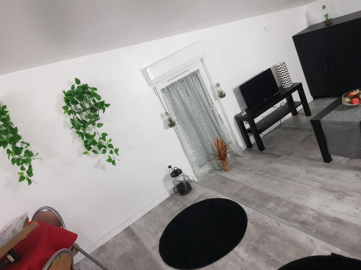Appartement Cocooning Auterive Auterive  Bagian luar foto
